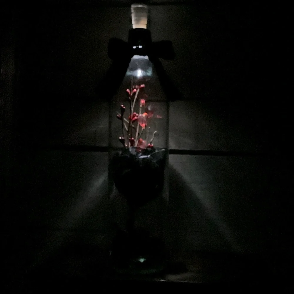 Hand crafted- Black Rose Wine Bottle Lantern
